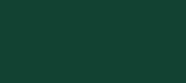 евроштакетник зеленый мох RAL 6005